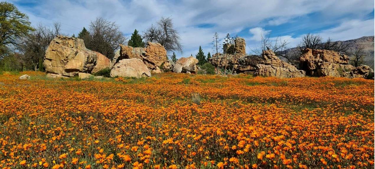 Retailers and counters